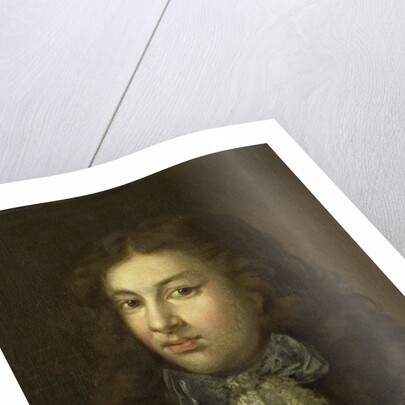 Portrait of Thedoor Netscher, the painter's oldest son by Caspar Netscher