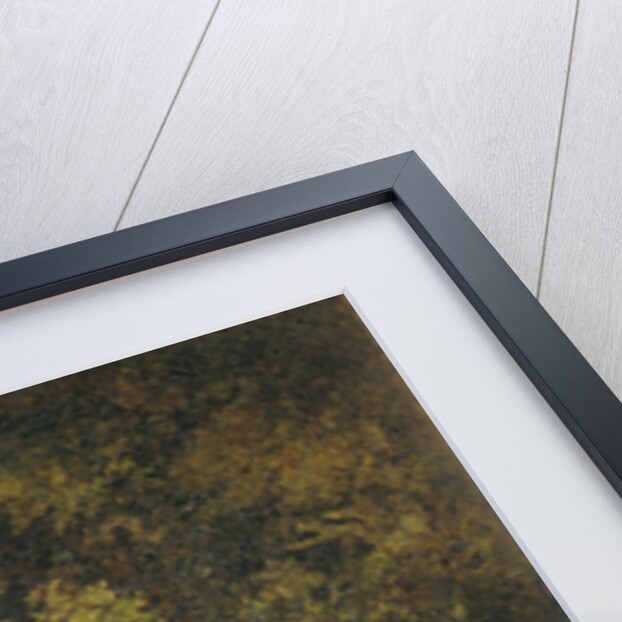 The Forest of Fontainebleau France by Narcisse Virgile Diaz de la Peña