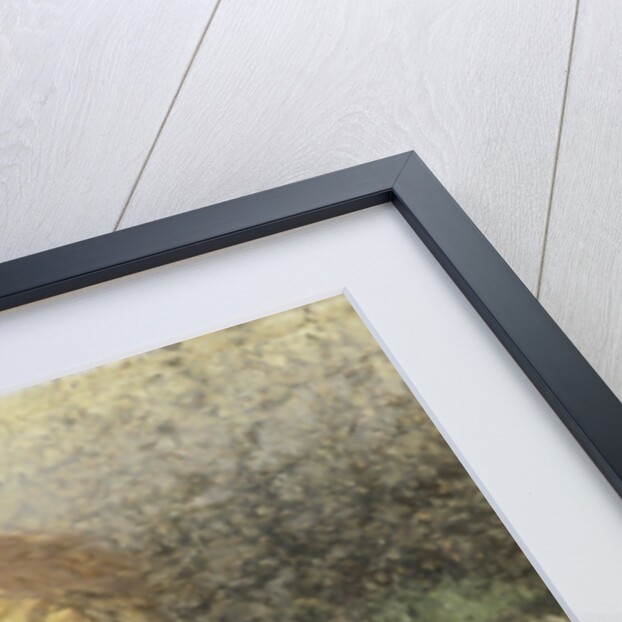 Fairytale by Matthijs Maris