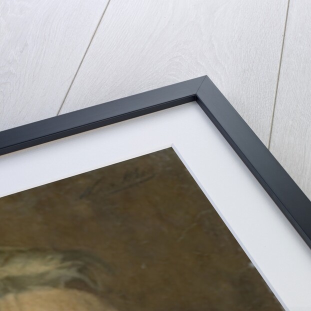 Willem Steelink II by Nicolaas van der Waay