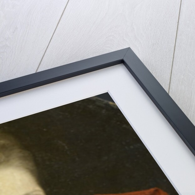 Anna Margaretha van Petcum. Wife of Johan Arnold Zoutman by Johan van Diest