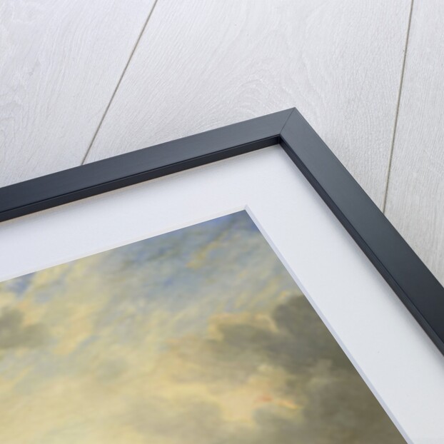 Lieutenant-General Frederik Knotzer in the Battle of Houthalen, during the 10 Days' Campaign, 1831 by Nicolaas Pieneman