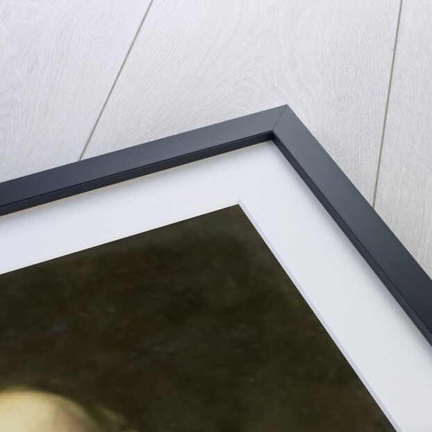 Self-Portrait by Johann Georg Schwartze