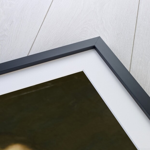 Portrait of Thérèse Schwartze, the Artist's Daughter, at 16 years of age by Johann Georg Schwartze