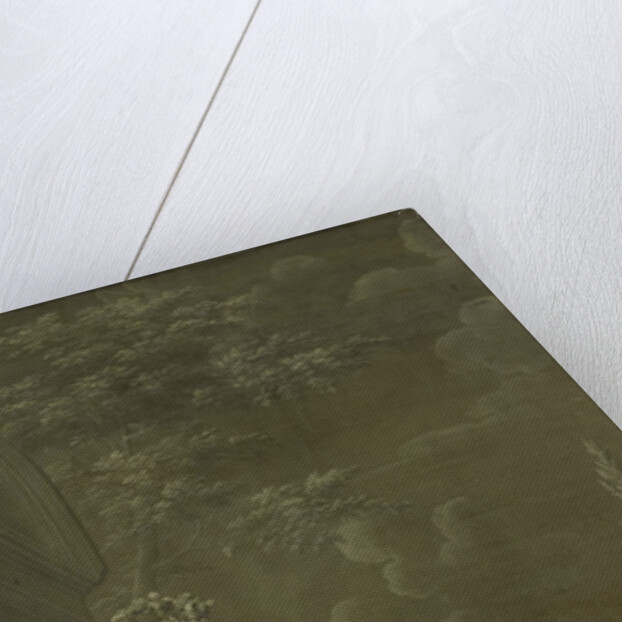 Homage to Pomona by Hendrik Carré II