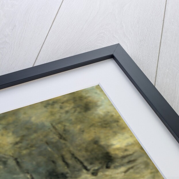 Algérienne by Camille Corot