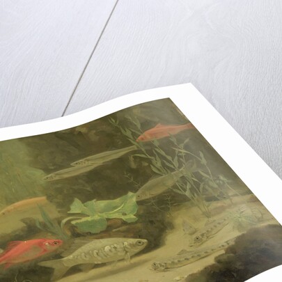 Gold and silver fish in an aquarium by Gerrit Willem Dijsselhof