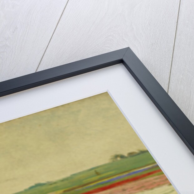 Tulip Fields by Gerrit Willem Dijsselhof