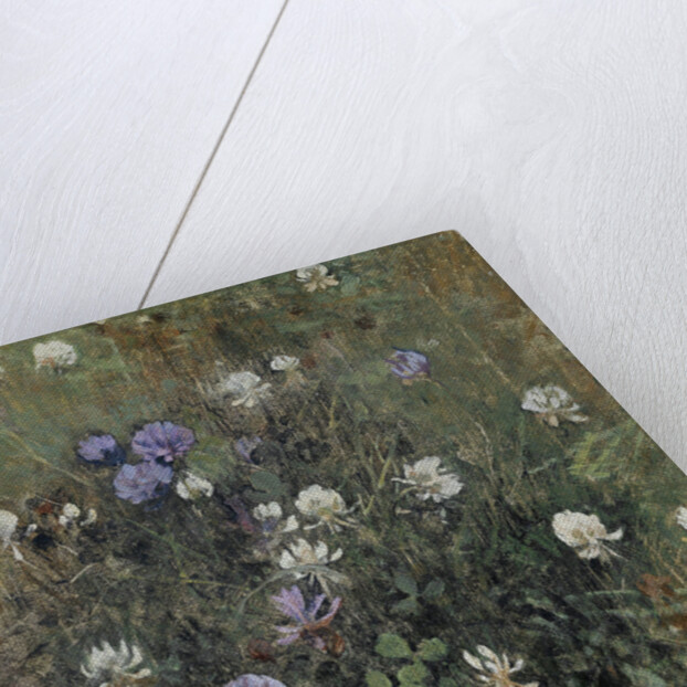 Clover flowers by Jac van Looij