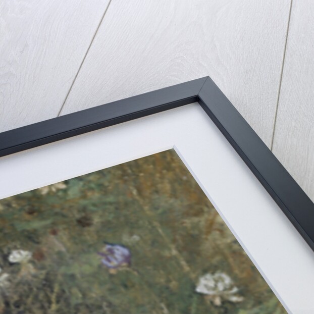 Clover flowers by Jac van Looij