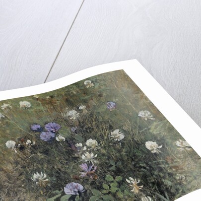 Clover flowers by Jac van Looij