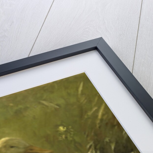 White duck with chicks by Willem Maris