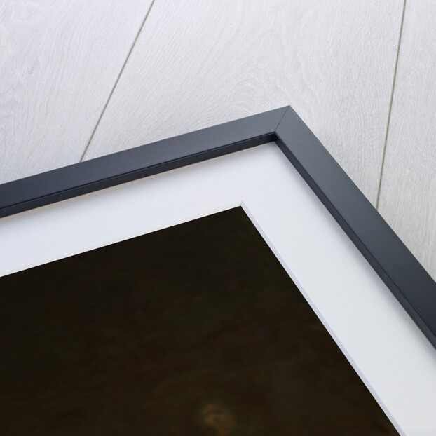 Kitchen Interior by Jan Olis