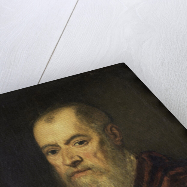 Portrait of a Man with a Red Cloak by Jacopo Tintoretto