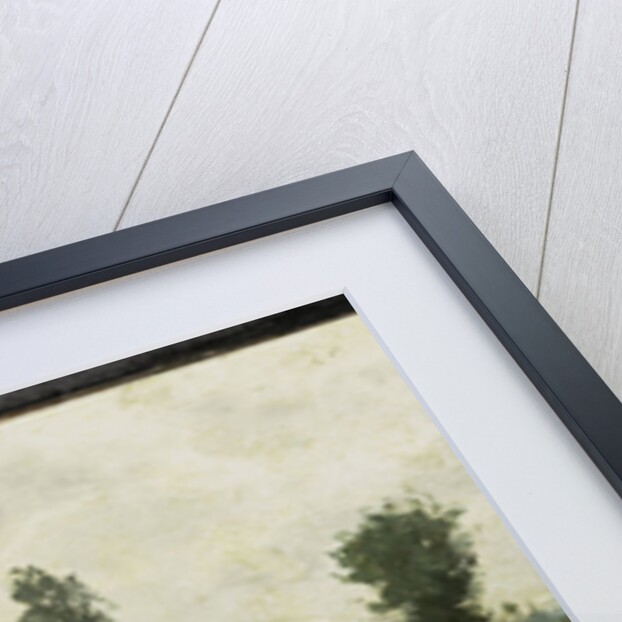 Near Breukelen, The Netherlands by Nicolaas Bastert