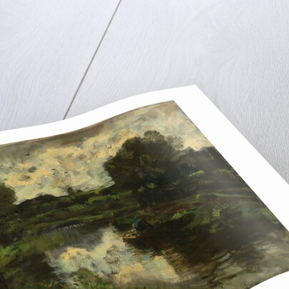 Polder after storm by Jacob Maris