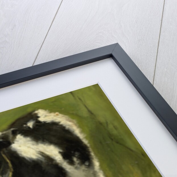 Calf, black and white spotted by Geo Poggenbeek