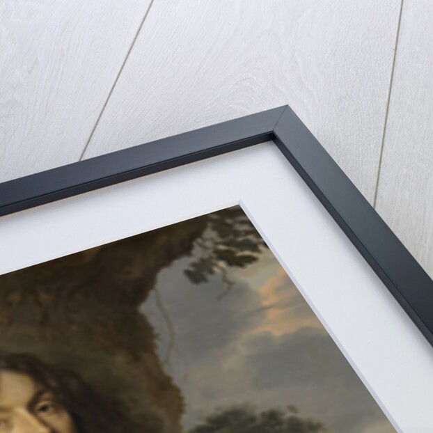 Portrait of Jacob de Witte, Lord of Haamstede by Jan Mijtens