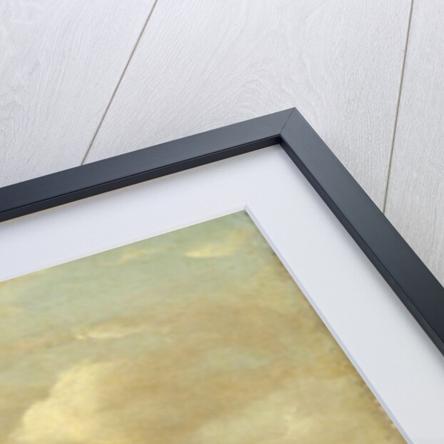 View of the Rhine and the Elterberg by Anonymous