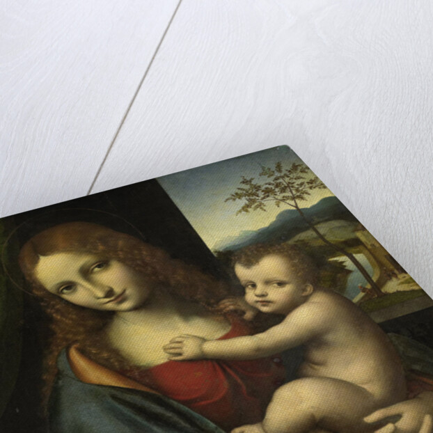 Virgin and Child by Giampetrino