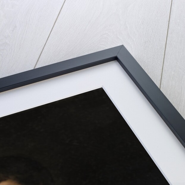 Portrait of a Nobleman in Armor by Anonymous