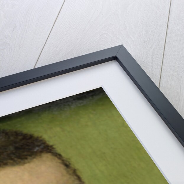 Portrait of Barthélemy Aneau, Head of the Collège de la Trinité in Lyon by Corneille de Lyon