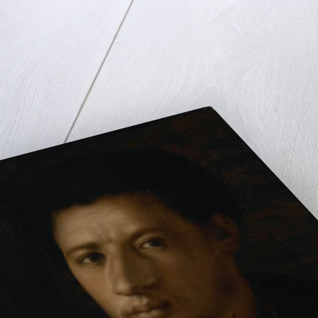 Portrait of Alessandro de' Medici by Anonymous