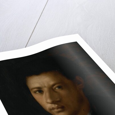 Portrait of Alessandro de' Medici by Anonymous
