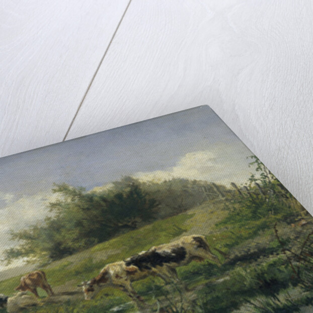 Cows in a Puddle by Gerard Bilders