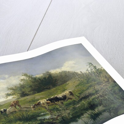 Cows in a Puddle by Gerard Bilders