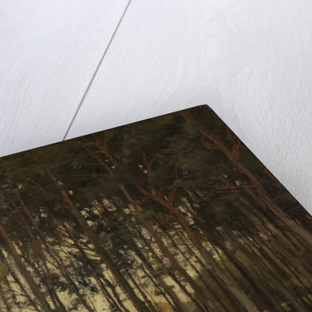 Forest scene by Théophile de Bock