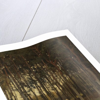 Forest scene by Théophile de Bock