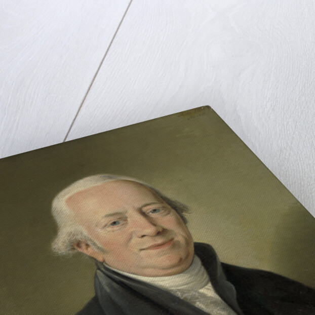 Portrait of Cornelis Sebille Roos, Art Dealer in Amsterdam and Inspector of the National Konst-Gallery and the Huis ten Bosch in The Hague by Adriaan de Lelie