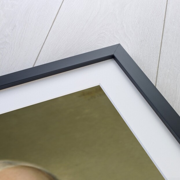 Portrait of Cornelis Sebille Roos, Art Dealer in Amsterdam and Inspector of the National Konst-Gallery and the Huis ten Bosch in The Hague by Adriaan de Lelie