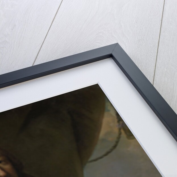 Portrait of Lieutenant-Admiral Willem Joseph, Baron van Gendt by Jan de Baen