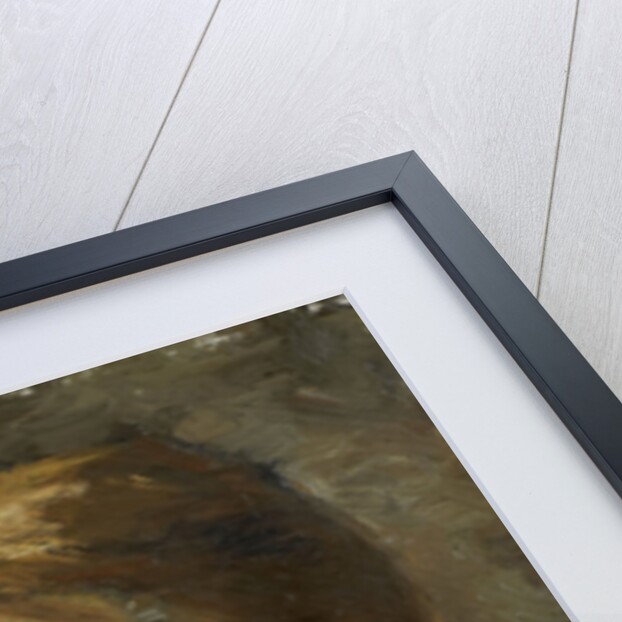 Adriaan Pit. Director of Dutch Museum of History and Art in Amsterdam, The Netherlands by Marinus van der Maarel