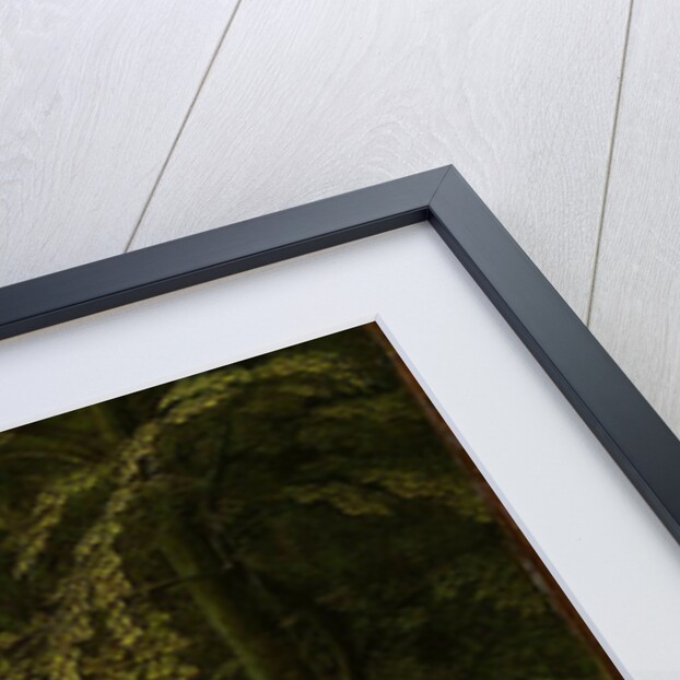 View in a Forest, outer right wing of a triptych by Gerard David