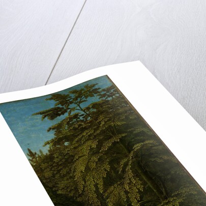 View in a Forest, outer right wing of a triptych by Gerard David