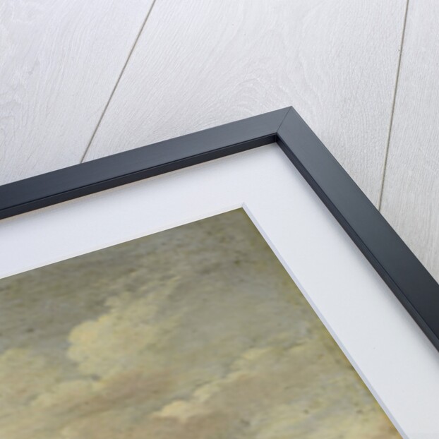 A herdsman's hut by Paulus Potter