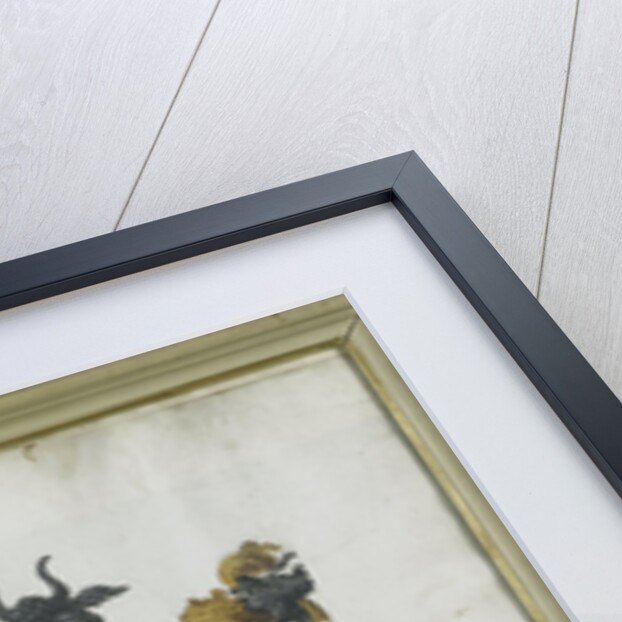 Coat of arms of Jacob Feitama II by Anonymous