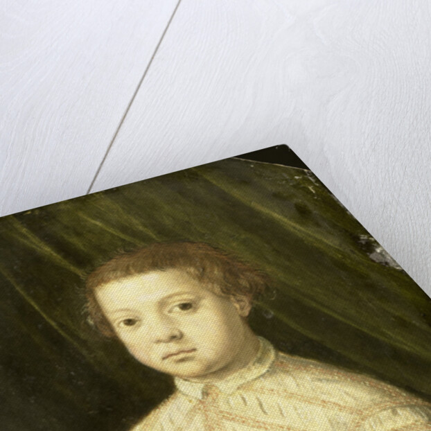 Portrait of a Boy, probably Giovanni de' Medici by Anonymous