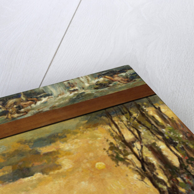The Flood by Willem de Zwart