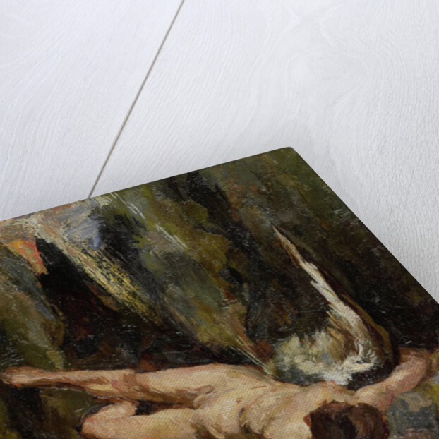 The fallen angel by Willem de Zwart