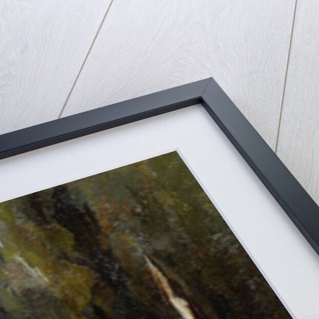 The fallen angel by Willem de Zwart