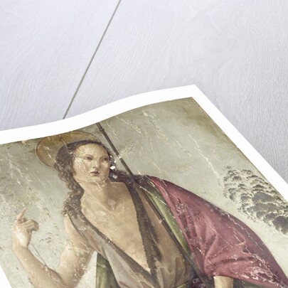John the Baptist by Francesco Botticini