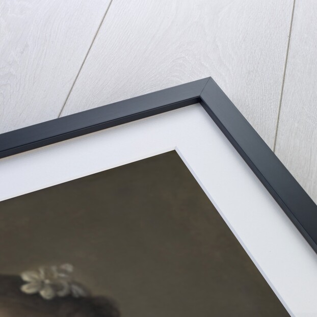 A young Woman by Pietro Rotari