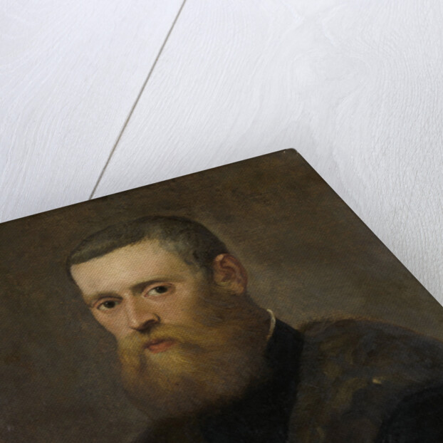 Portrait of a Man by Circle of Jacopo Tintoretto