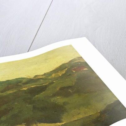 Heathland, presumably in in Drente, The Netherlands by George Hendrik Breitner