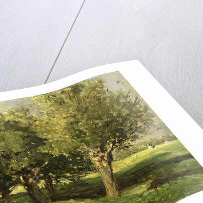 Willows by Willem Roelofs I