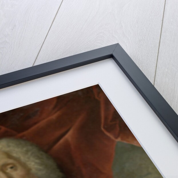 Portrait of Abraham Patras, Governor-General of the Dutch East India Company by Theodorus Justinus Rheen